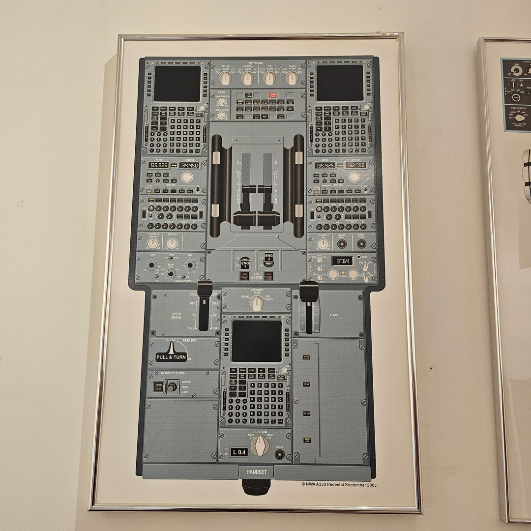 Flight Simulation Poster (No Glass)