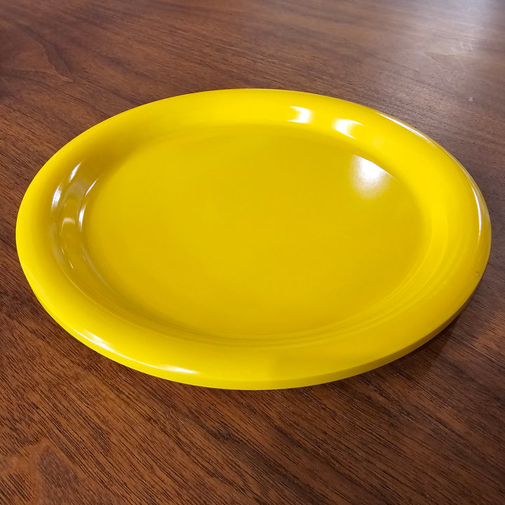 Vintage Ingrid LTD Melamine Dinner Plates